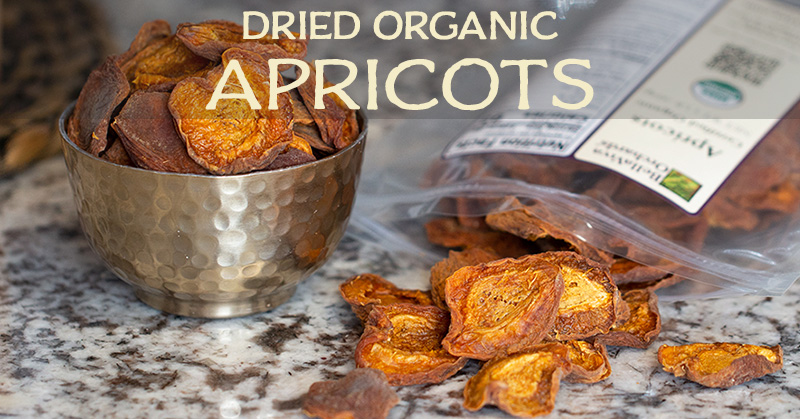 organic-apricots-wholesale-special